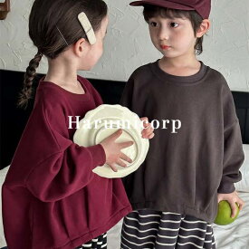 Tシャツ キッズ 子供服 女の子 男の子 長袖Tシャツ ジュニア インナー トップス ベビー服 ロンT カットソー 子ども服 赤ちゃん おしゃれ 可愛い 入園 入学 幼稚園 小学生 80 90 100 110 120 130 140cm 秋物 冬物 秋服 冬服 誕生日 プレゼント