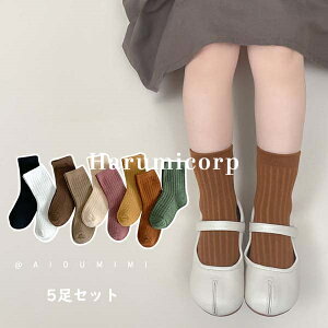 C LbY 5Zbg ̎q j̎q q \bNX XgbLO MX jbg X|[c ^Cc WjA xr[ Ԃ  j ۈ牀 c w  ʊw ʉ  