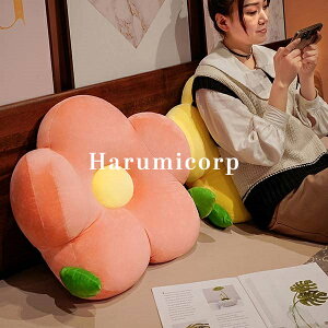 zc NbV 45*40cm 55*50cm tANbV ی` k `FApbh \t@[ ֎qp  a  `FANbV   ItBX CX  xbh 킢 ԂƂ 