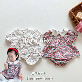 セットアップ キッズ ベビー服 女の子 男の子 シャツ 半袖 綿 ショートパンツ 子供服 夏服 上下セット 新生児 赤ちゃん 韓国子ども服 おしゃれ 可愛い 誕生日 出産お祝い プレゼント 初節句 保育園 お出かけ 66 73 80 90 100cm 1歳 2歳 3歳