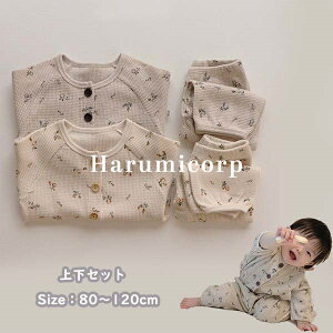 ZbgAbv LbY xr[ ̎q j̎q gbvX  Opc q [EFA ㉺Zbg V Ԃ  pW} ؍qǂ   a oYj