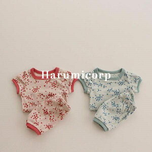 ZbgAbv LbY xr[ ̎q j̎q tVc  V[gpc q ĕ [EFA ㉺Zbg V Ԃ  pW} ؍qǂ   a o