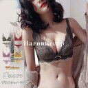 【送料無料】ブラジャー ショーツ セット 育乳 盛れる 脇高ブラ ノンワイヤー 下着 女性 ブラ 谷間 セクシー 総レース 盛りブラ 補正 小胸 レディース Tシャツブラ バストアップ 美胸 美背 インナー 大きいサイズ