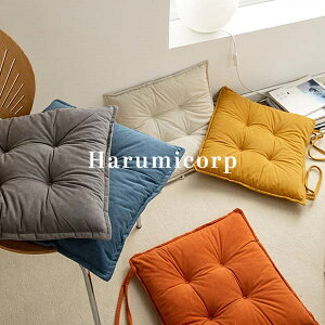zc NbV 45*45cm 50*50cm tANbV k `FApbh \t@[ ֎qp p`  a  `FANbV   ItBX CX  xbh 킢 ԂƂ l 