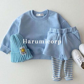 セットアップ キッズ ベビー服 女の子 男の子 tシャツ 長袖 綿 ロングパンツ 子供服 春秋 ジャージ 上下セット スポーツ 新生児 赤ちゃん ルームウェア おしゃれ 可愛い 入園 入学 幼稚園 保育園 73 80 90 100 110 120cm 誕生日 出産お祝い プレゼント