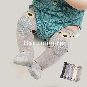 C xr[ LbY XgbLO ̎q j̎q \bNX  h q V Ԃ   ۈ牀 ct oYj Mtg v[g   ObY V 