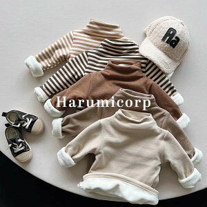 gbvX LbY N q ̎q j̎q TVc  H~ xr[ Ci[  g tVc Jbg\[ qǂ Ԃ    w ct w 80 90 100 110 1