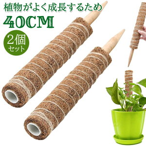 yz2Zbg | x 40cm  Ax K[f  Ԃ A  ؐ RRibc x K[fjOpx ϗtx oRA \  ϋv Ԏg