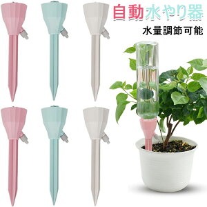  _J[ 9Zbg 12Zbg  蓖  A 蓖  UVXe @ ʒ߉\ ϗtAp 