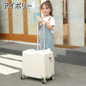 X[cP[X L[P[X@J[gD[ LbY qp j̎q ̎q qǂ @ É 蕨 [ A CO  tx ċx a s΂  ^C