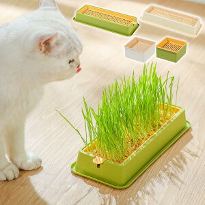 k ͔| L {bNX 1 2 L͔| Lbg Lv^[ L͔|Zbg A XvE^[ Rei[  y̕tȂz