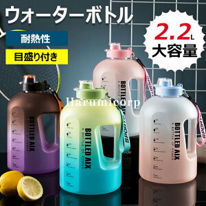 yz{g EH[^[{g 2.2Le hN{g  X|[c{g [hoCN {gz_[ ] gCjO gCAX Lbv AEghA  