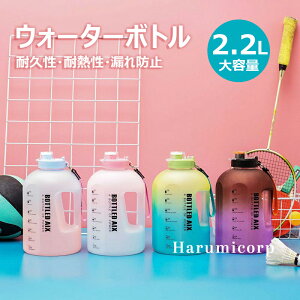 EH[^[{g X|[c{g X|[chN {g 2200ml Of[V   e y ϗϔM gѕ֗ Rh~ ڐt  l ̎q j̎q X|