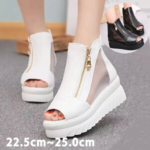  u[c fB[X C C V[Y y T_  V[g q[ EFbW\[ t  H JWA lC fB[XC fB[XT_ V[gu[c u[