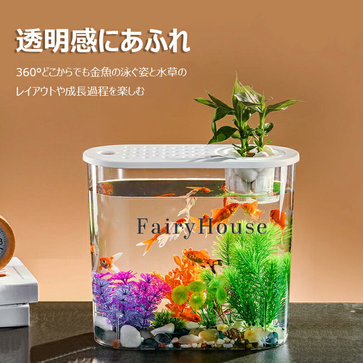 楽天市場】【6%OFFクーポン配布中】金魚鉢 水槽 卓上 透明 すいそう 大 