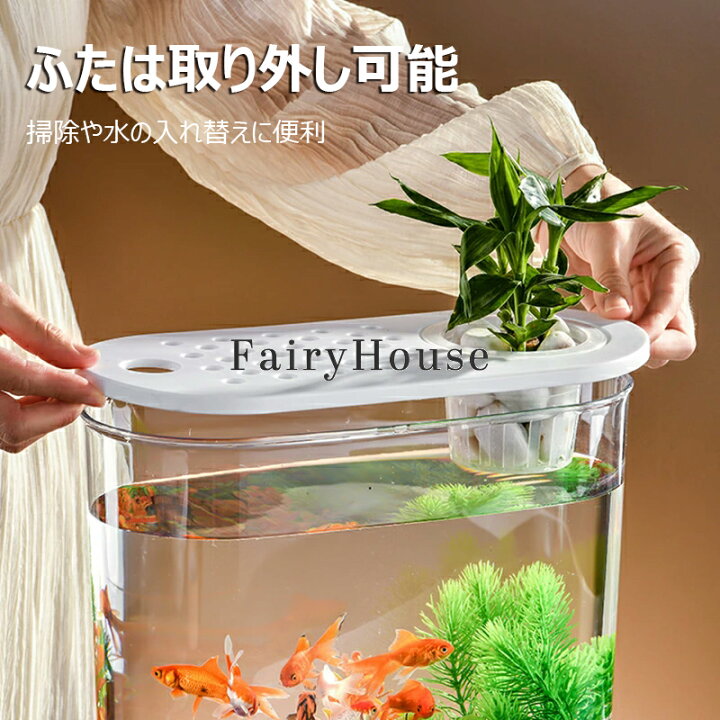 楽天市場】【6%OFFクーポン配布中】金魚鉢 水槽 卓上 透明 すいそう 大 