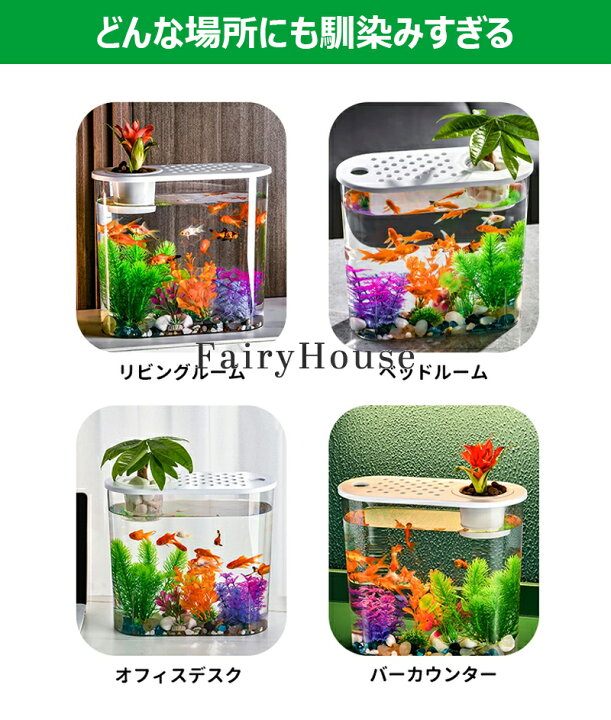楽天市場】【6%OFFクーポン配布中】金魚鉢 水槽 卓上 透明 すいそう 大 