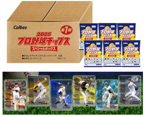 [v싅`bvX]Jr[ 2025 v싅`bvX XyV{bNX 1e 360g ܂Ƃߔ J[h80u60gv싅`bvXR\p`v×6܂8J[hpbN×10pbN