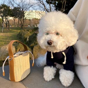 hbOEFA ^ LbgEFA ybg XEFbgp[J[  L p[J[  m ybg ybgEFA XEFbg JWA p[J ybgpi g[i[  `