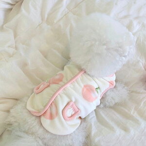 hbOEFA  RR LbgEFA  H~ t[XWPbg ybgEFA ^ ` |jA ViEU[ gCv[h L {AWPbg s[`^ g 