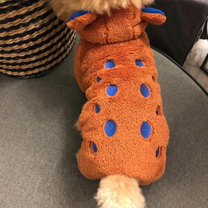 y}\ԍő10%OFFN[|P2{z Ȃ RR Jo[I[ t[XWPbg t[ht hbOEFA g ~ LbgEFA  hbg  L ^ 