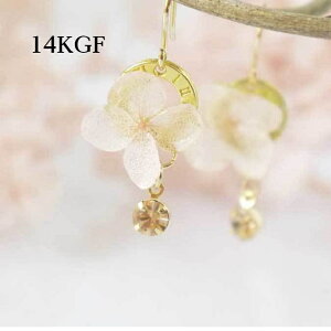 y14KGFz~JCɁIsNzԃsAX t H[} [t l킢 ANZT[ Mtg  ANZT[  fB[X EFfBO Mtg v[g ā@harusaku