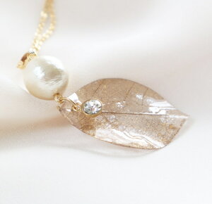 Jオ [t Rbgp[lbNX VRf t[lbNX lbNX y_g WG[ ANZT[  a p[ tH[}   Mtg  