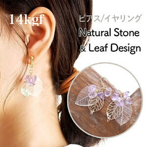 y14kgfzAWXg VR ~j[tsAX CO tbN mz[sAX NX}X p[ tH[}   Mtg nhCh l fB[X ANZ