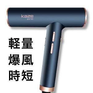 �v���d�l ���� �h���C���[ kaze pro�^haru�����b�w�A�P�A�w�A�h���C���[ �T���� ���e�� �y�� �ቷ �}�C�i�X�C�I�� ���Z �啗�� 1000W