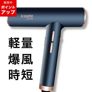 �y2/15��P15�{�z�v���d�l ���� �h���C���[ kaze pro�^haru�����b�w�A�P�A�w�A�h���C���[ �T���� ���e�� �y�� �ቷ �}�C�i�X�C�I�� ���Z �啗�� 1000W