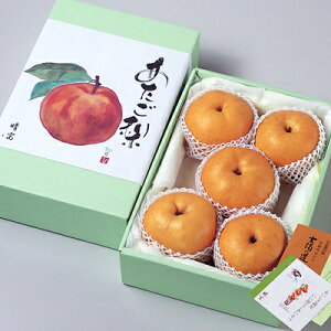 yzt[c^x^R409-010/409-020/409-030/409-050