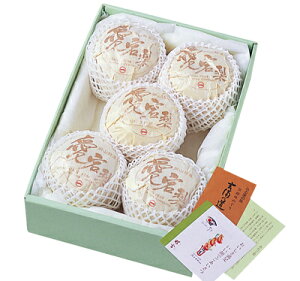 y ɏzt[c^x^R410-010/410-020/410-030/410-050