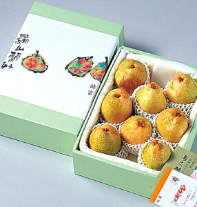 yVo[xz^t[c^x_R415-060/415-080