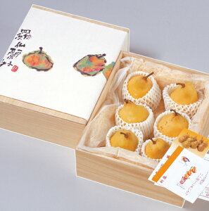 yEN`FzΕ Mtg 蕨 t[c ʕ {