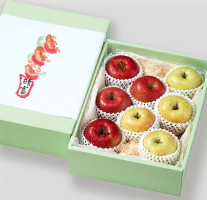 yTӂ4ʁE4ʁzΕ Mtg 蕨 t[c ʕ {