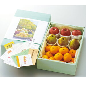 yEtXEB݂ETӂ񂲁zΕ Mtg 蕨 t[c ʕ { R493-040