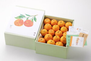 yO݂zΕ Mtg 蕨 t[c ʕ {