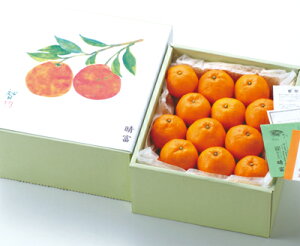 yLc݂񁃖ꁄzΕ Mtg 蕨 t[c ʕ {