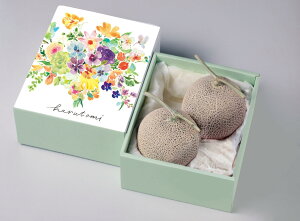 【アールスメロン】<湯浅 望氏 画>フルーツ/お中元/お歳暮/晴富_R101-010/101-020