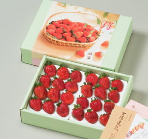 yzΕ Mtg 蕨 t[c ʕ {