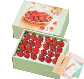【晴苺】いちご_フルーツ／旬／岡山県産