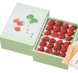 yIzΕ Mtg 蕨 t[c ʕ {