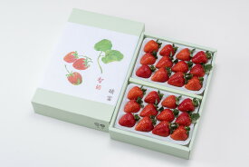 【晴れ娘】いちご／フルーツ／晴富／R450-050
