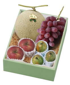 yEtXETӂEA[XEzЂ̂/t[c^x_R424-020