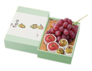 yEtXETӂEzЂ̂/t[c^x_R424-060