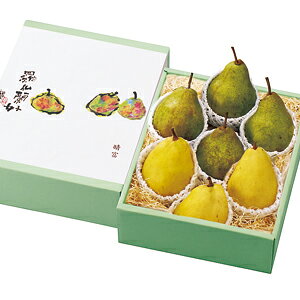 yEtXEEN`Flߍ킹zΕ Mtg 蕨 t[c ʕ { R492-300