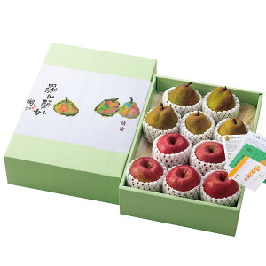 yTӂEEtXlߍ킹zΕ Mtg 蕨 t[c ʕ {