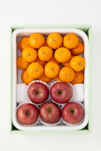 yTӂ񂲁EB݂zΕ Mtg 蕨 t[c ʕ { R492-370