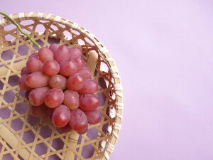 yE~zt[c^x^Ε_R492-390