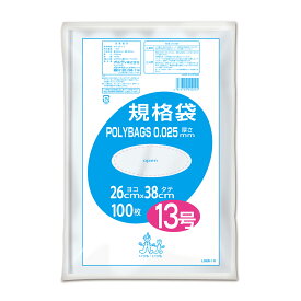 {5ケース以上特別価格（事業者限定）}L025-13 ポリバック規格袋 13号 0.025mm 透明 100P　オルディ　ポリ袋